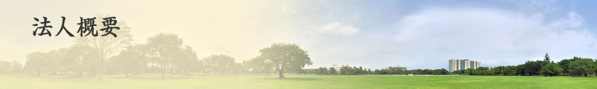 会社概要